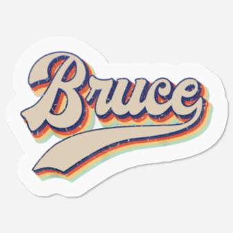 Discover Vintage Bruce Springsteen Stickers, Bruce Springsteen Stickers