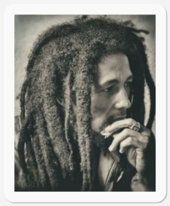 Discover Bob Marley Stickers