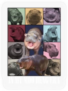 Discover Moo Deng Eras Tour, Moo Deng Stickers