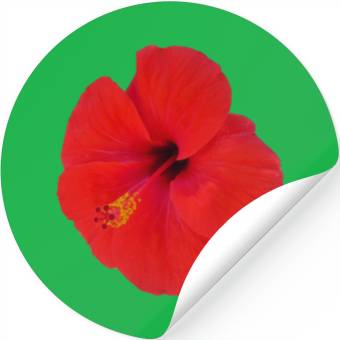 Discover red hibiscus Stickers