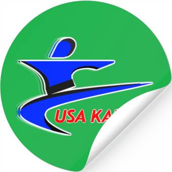 Discover Team USA Karate Stickers