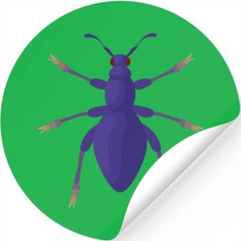 Discover Bug Stickers