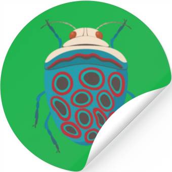 Discover Bug Stickers