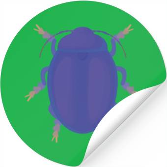 Discover Bug Stickers