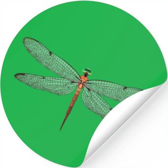 Discover Dragonfly Stickers