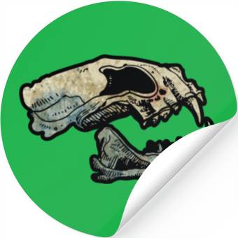 Discover cat skull Stickers