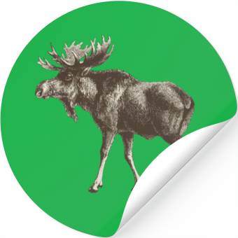 Discover moose Stickers
