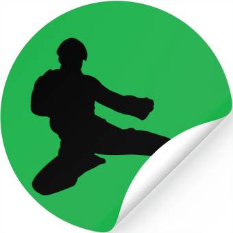 Discover karate Stickers