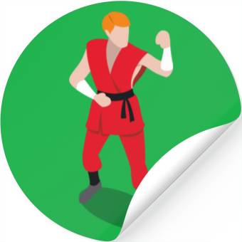 Discover karate Stickers