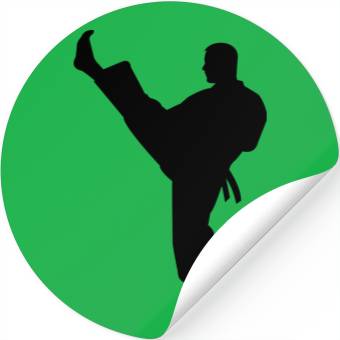 Discover karate Stickers