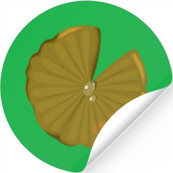 Discover Lotus leaf Stickers