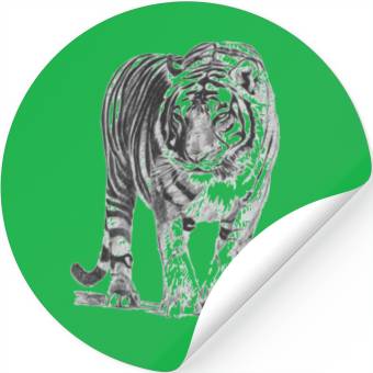 Discover Bengal Tiger Stickers