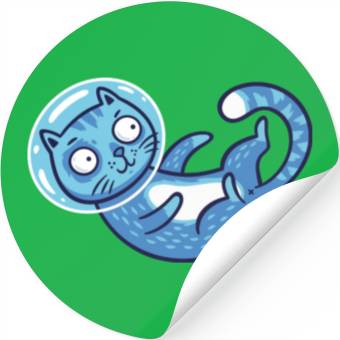 Discover Space cat Stickers