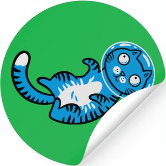 Discover Space cat Stickers