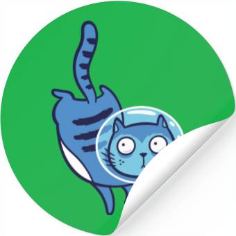 Discover Space cat Stickers