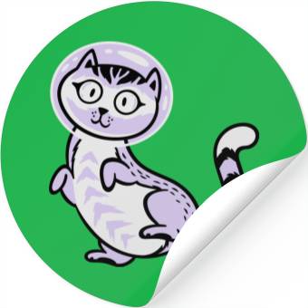 Discover Space cat Stickers