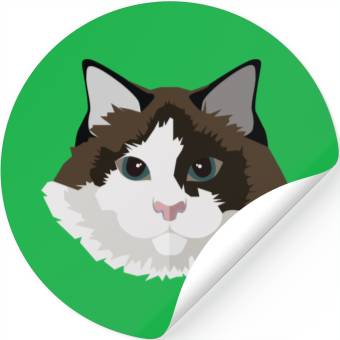 Discover Cat face Stickers