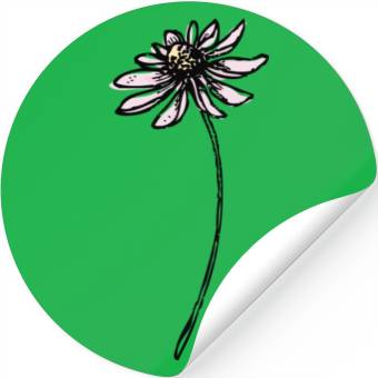 Discover Daisy Stickers