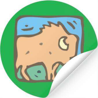Discover Buffalo Stickers