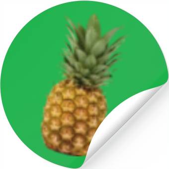 Discover Baby Pineapple Stickers