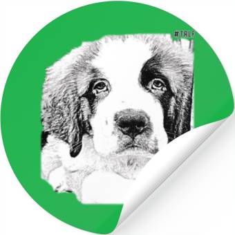 Discover Saint Bernard Stickers