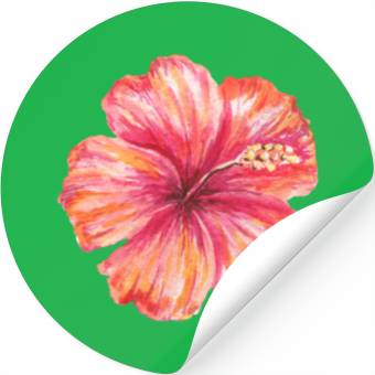 Discover Hibiscus Stickers