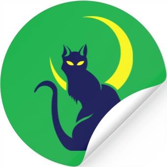 Discover night cat Stickers