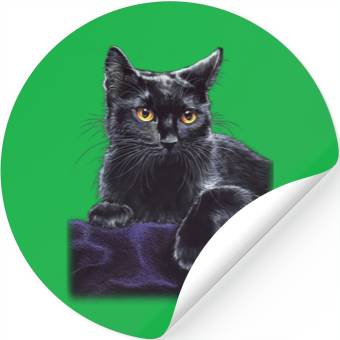 Discover black cat Stickers