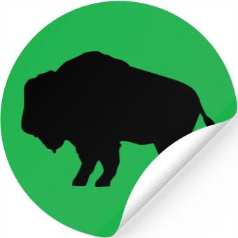 Discover Buffalo Stickers