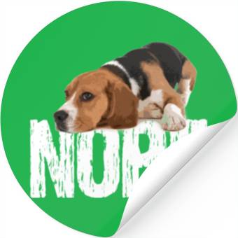 Discover beagle dog Stickers