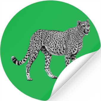 Discover Cheetah Stickers