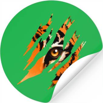 Discover Tiger Eye Stickers