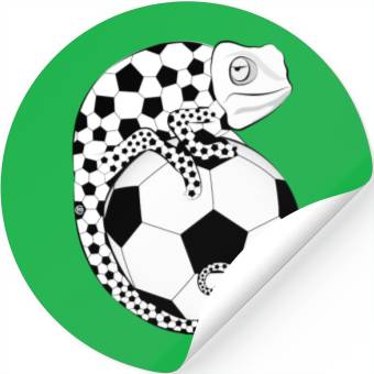 Discover Soccer Chameleon Stickers