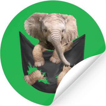 Discover Elephant Pocket Stickers