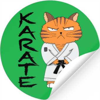 Discover Karate Cat Stickers