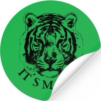 Discover Tiger "It´s magic" Stickers