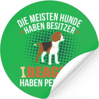 Discover Beagle Stickers