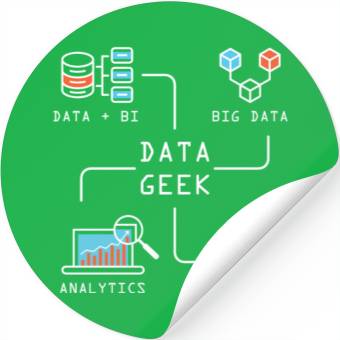 Discover Data Geek Information Analyst Stickers