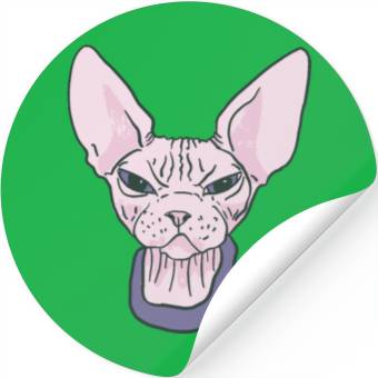 Discover grumpy catpinkGrumpy Sphinx Cat - Purple Stickers