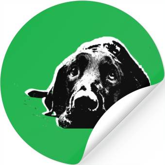 Discover Black Labrador Retriever Stickers