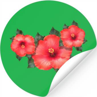Discover Hibiscus Stickers