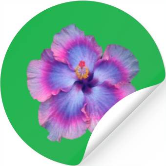 Discover hibiscus flower Stickers