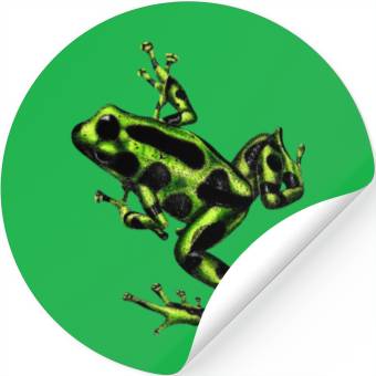 Discover Green poison dart frog Stickers