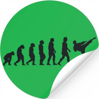 Discover Evolution of Karate Stickers