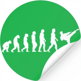 Discover Evolution of Karate Stickers