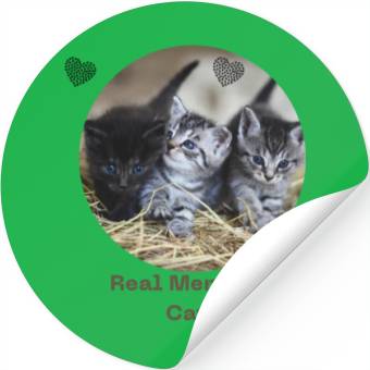 Discover Kittens love Stickers