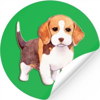 Discover Sweet beagle Stickers