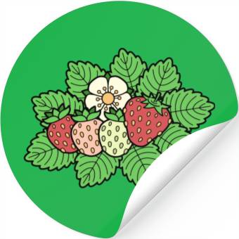 Discover Strawberry Icon Stickers