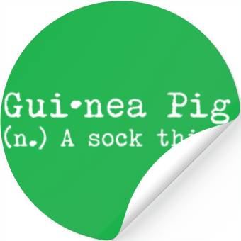 Discover A Sock Thief Guinea Pig Stickers