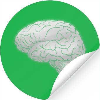 Discover Human Anatomy Brain Stickers